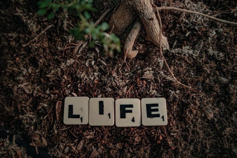Life Shayari in Hindi | Shayari on Life | जिंदगी शायरी हिंदी में 2024 Life Shayari In Hindi