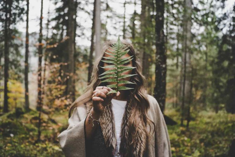 poems-about-nature-in-hindi