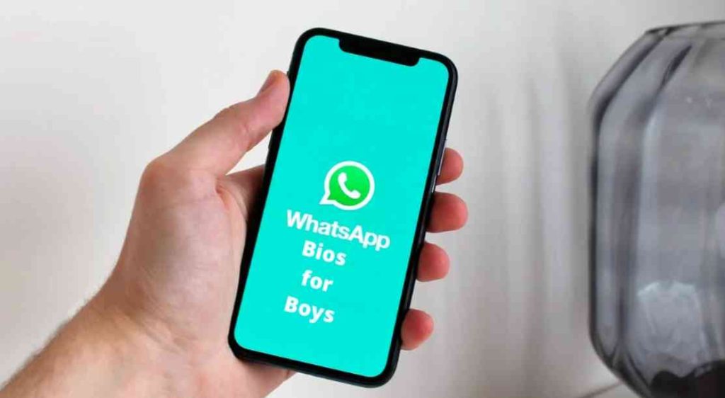 whatsapp-vip-bio