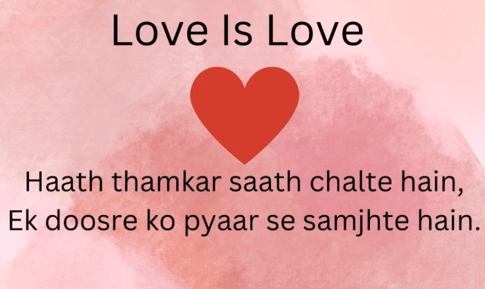 Romantic Hindi Shayari 2 Line for Love